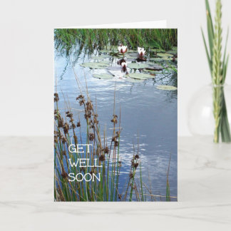Waterlilies Get Well Soon Card