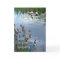 Waterlilies Sympathy Card