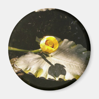WaterLilly Magnet