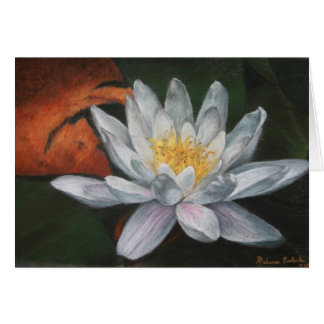 Waterlilly with Dead Pad