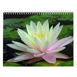 Waterlily Calendar