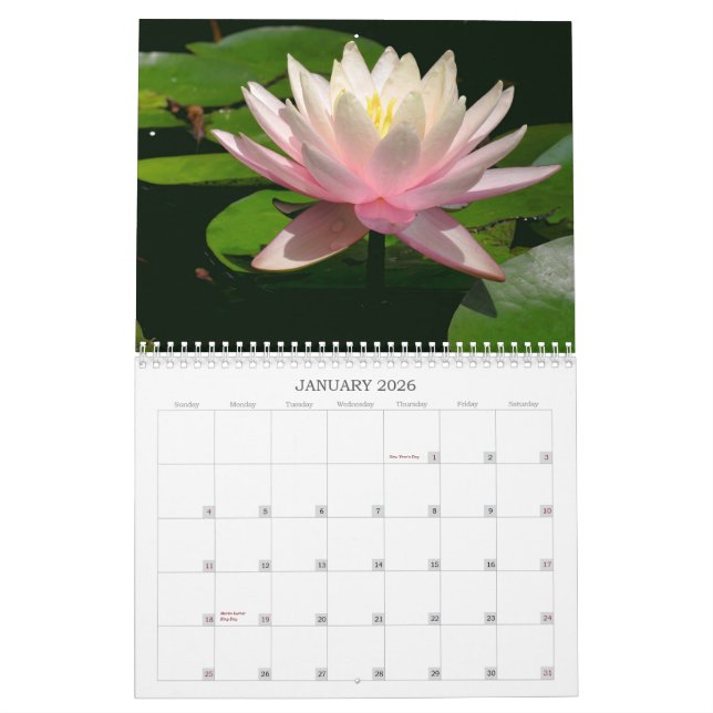Waterlily Calendar (Jan 2026)