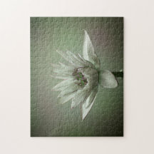 Waterlily green tone puzzle