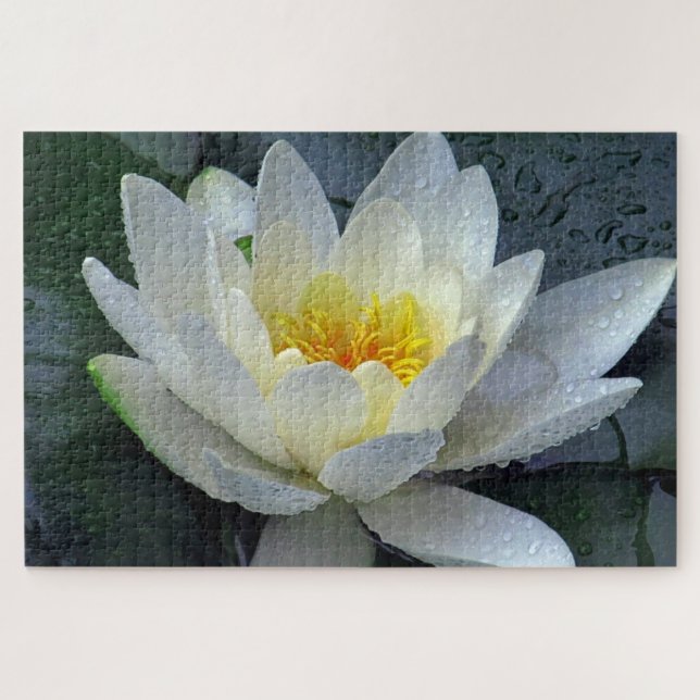 Waterlily Jigsaw Puzzle (Horizontal)