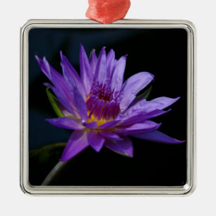 Waterlily Lotus Metal Tree Decoration