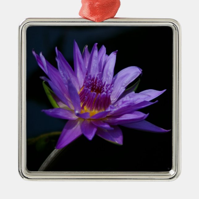 Waterlily Lotus Metal Tree Decoration (Front)