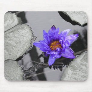 WaterLily Pond Mouse Pad