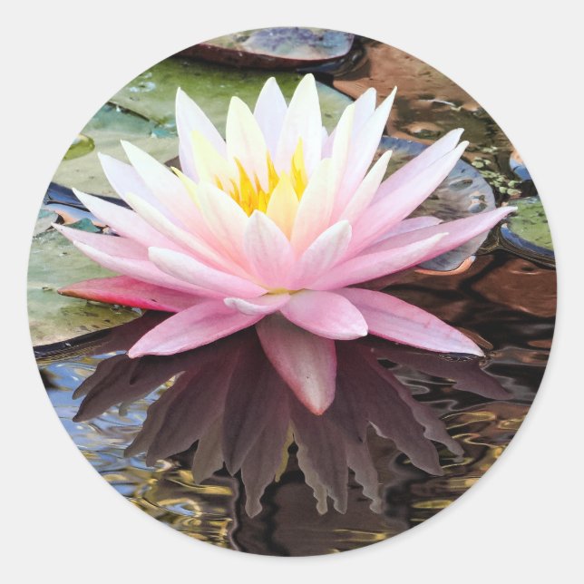 Waterlily Reflections Classic Round Sticker (Front)