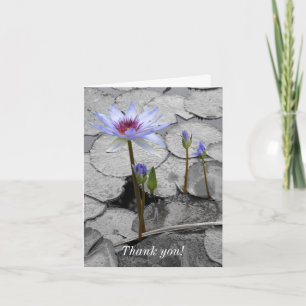Waterlily Standing Beauty Thank You Card