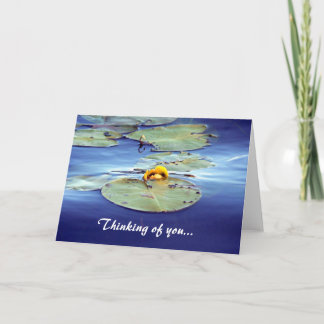 Waterlily Thinking of you... Greeting Card