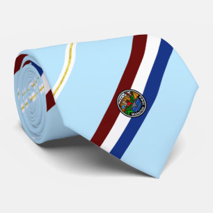 Waterloo (Iowa) city flag Neck Tie