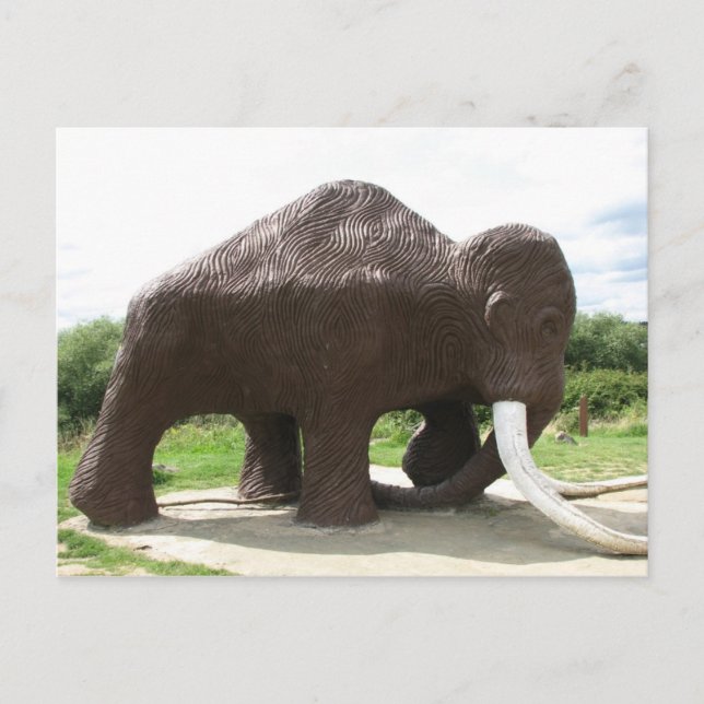 Watermead Country Park Postcard (Front)