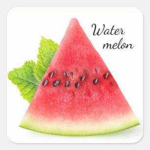 Watermelon and mint square sticker