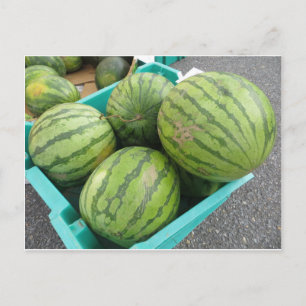 Watermelon Bunch. Postcard
