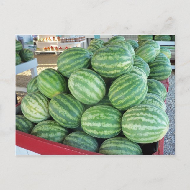 Watermelon Bundle Postcard (Front)