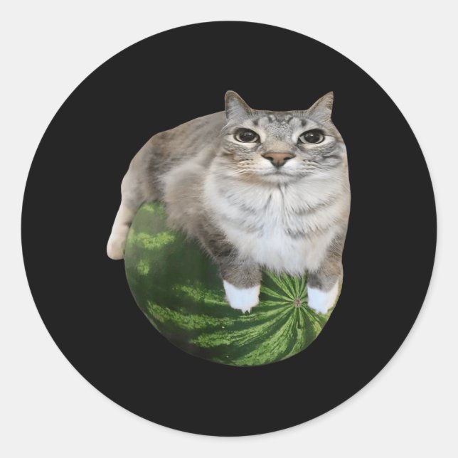 Watermelon Cat Silly Cat Meme  Classic Round Sticker (Front)