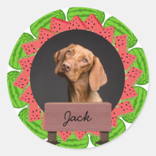 watermelon christmas holiday Custom Dog Photo  Classic Round Sticker