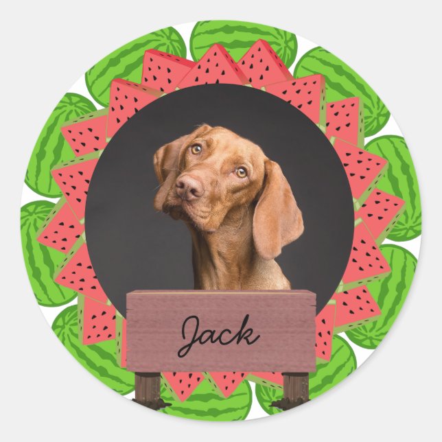 watermelon christmas holiday Custom Dog Photo  Classic Round Sticker (Front)