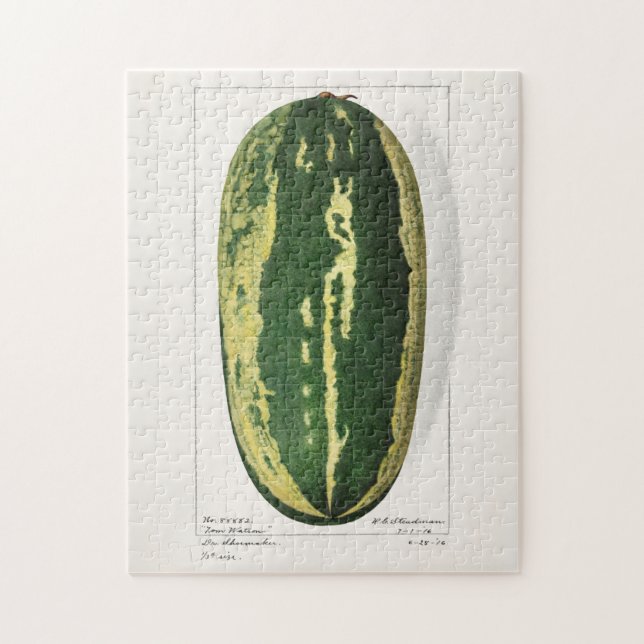Watermelon (Citrullus Lanatus) Fruit Painting Jigsaw Puzzle (Vertical)