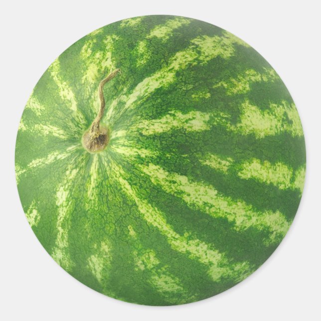 Watermelon Classic Round Sticker (Front)