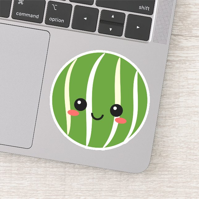 Watermelon Face Vinyl Sticker for Water Bottle etc (Detail)