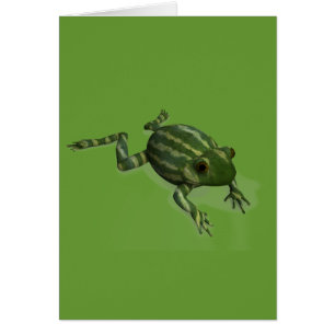 Watermelon Frog
