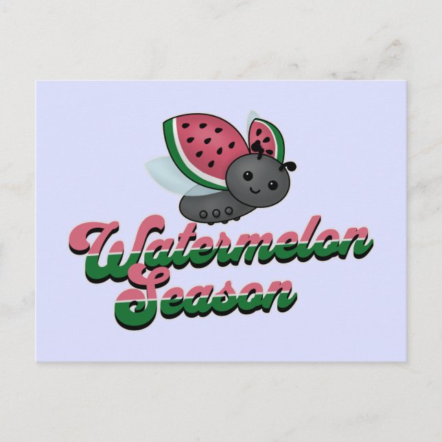 Watermelon Season Ladybug Postcard (Front)