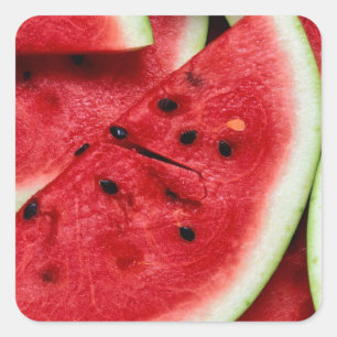 Watermelon Slices Square Sticker