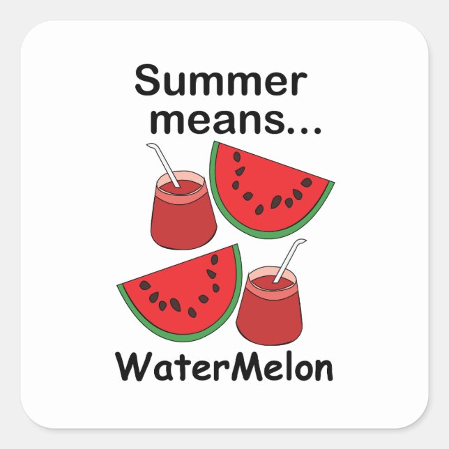 Watermelon Summer Means Watermelon Fruit Party Square Sticker (Front)