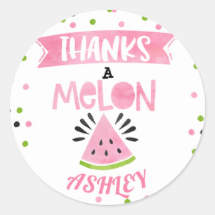Watermelon Thank a Melon Birthday Party Stickers