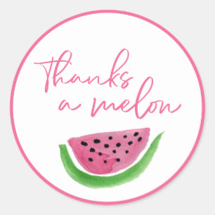 Watermelon Thanks a Melon Thank you Classic Round Sticker