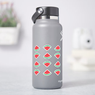 Watermelon Wedge Sticker Pack