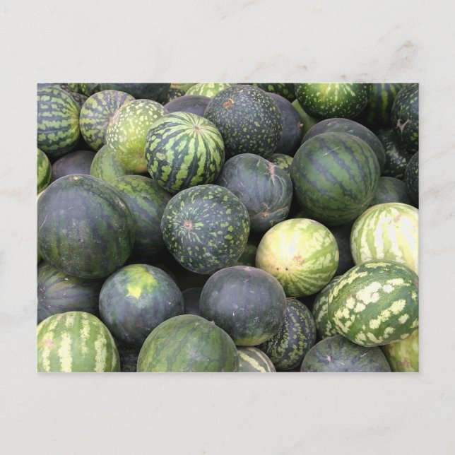 watermelons postcard (Front)