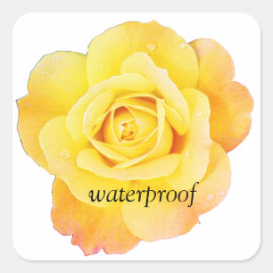 Waterproof Splash Free Yellow Rose Floral Wedding Square Sticker