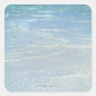 Water's edge 2 square sticker