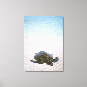 Water's edge canvas print