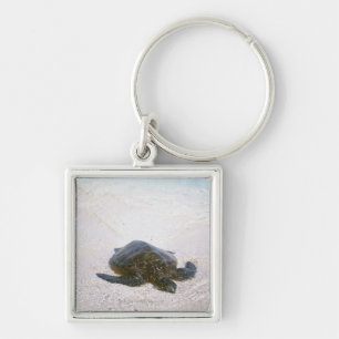 Water's edge key ring