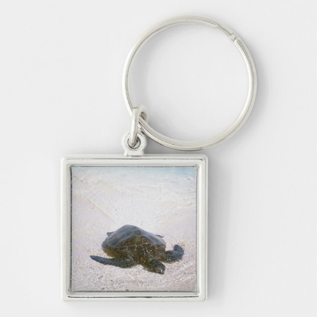 Water's edge key ring (Front)