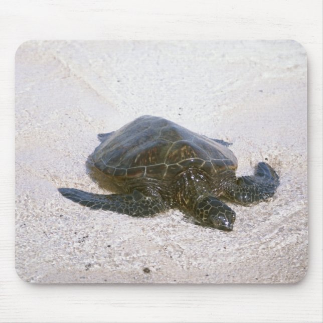 Water's edge mouse mat (Front)