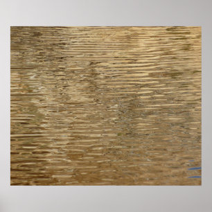 Waters of Barker Dam at Joshua Tree National Park Poster