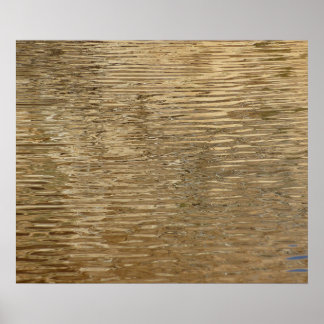 Waters of Barker Dam at Joshua Tree National Park Poster