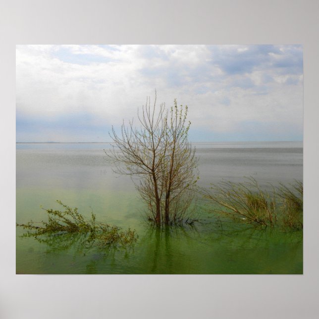 Waterscape Poster (Front)