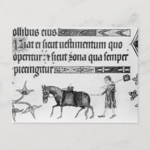 Waterseller,illustration from 'Luttrell Psalter' Postcard