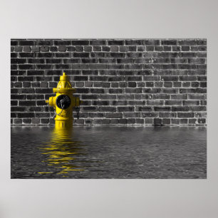 Waterworks No 1 Poster