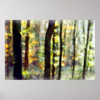 Watery Woods Poster