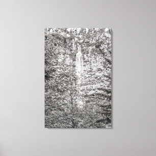Watson Falls Canvas Print