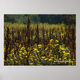 Watsonville Fields of Van Gogh II Poster