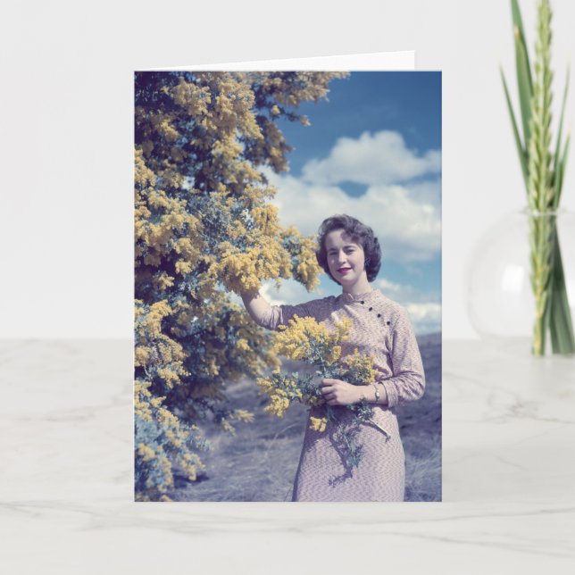 Wattle in Canberra - retro Card (Front)