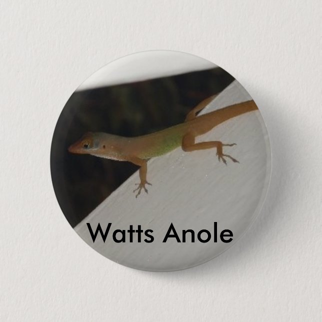 Watts Anole Reptile Button (Front)