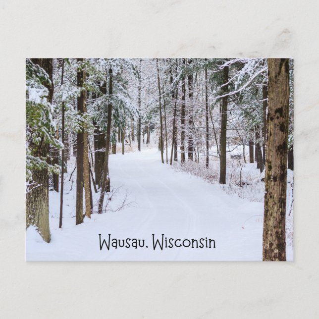 Wausau Wisconsin in Winter Postcard (Front)